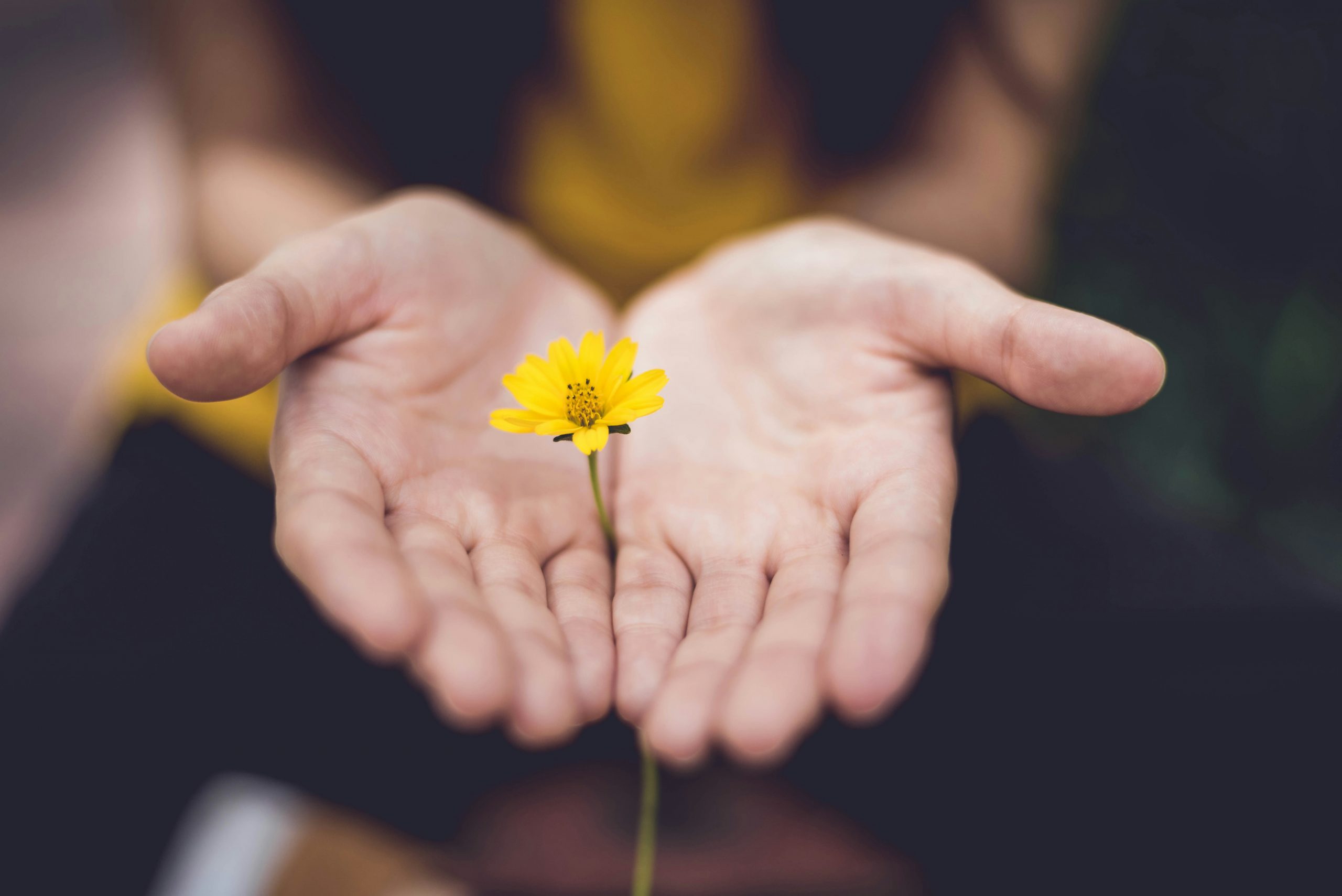 Hands holding light